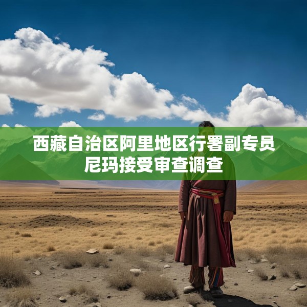 2025年3月19日 第5页