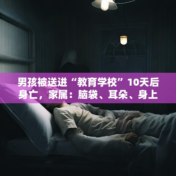 男孩被送进“教育学校”10天后身亡，家属：脑袋、耳朵、身上全是伤