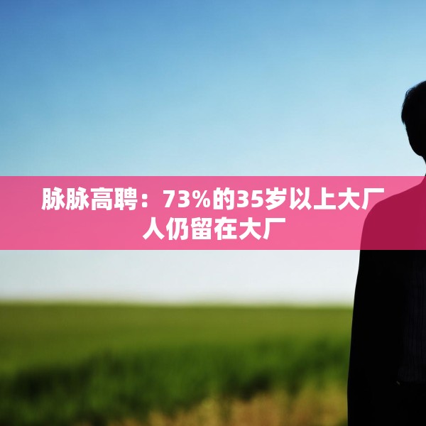 脉脉高聘：73%的35岁以上大厂人仍留在大厂