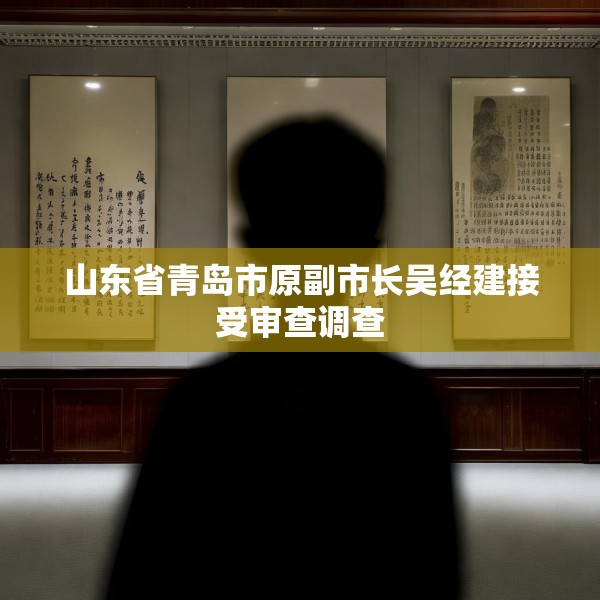 山东省青岛市原副市长吴经建接受审查调查