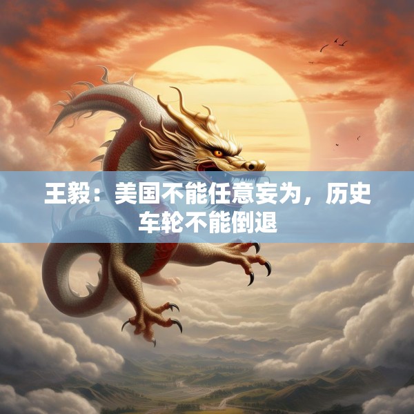 王毅：美国不能任意妄为，历史车轮不能倒退