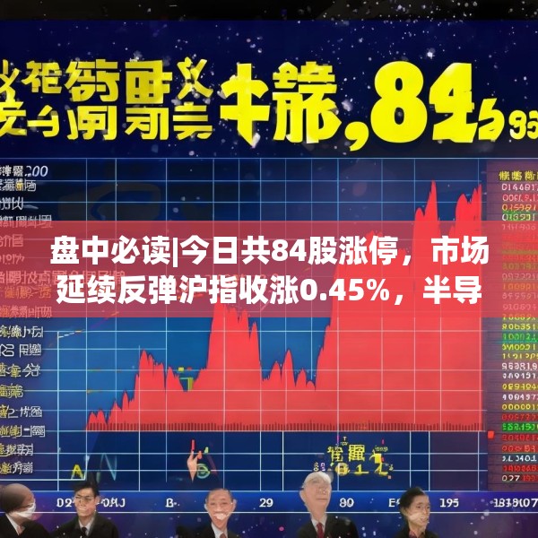 2025年4月12日 第13页