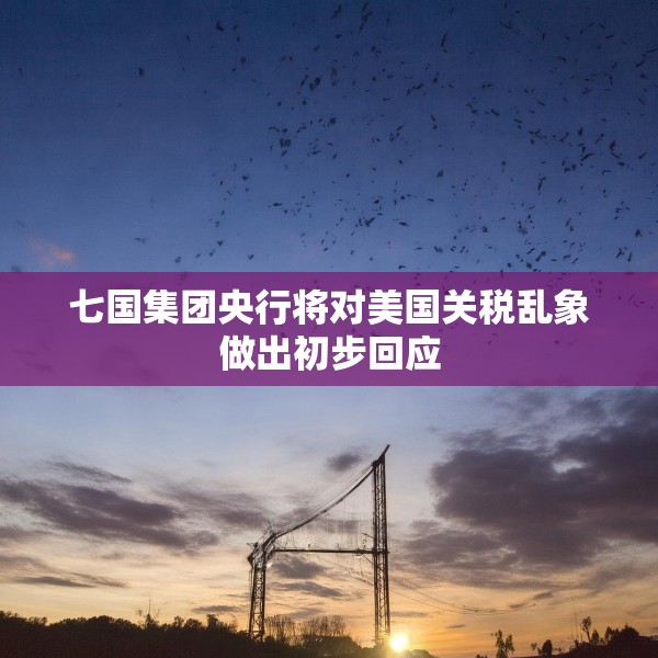 七国集团央行将对美国关税乱象做出初步回应