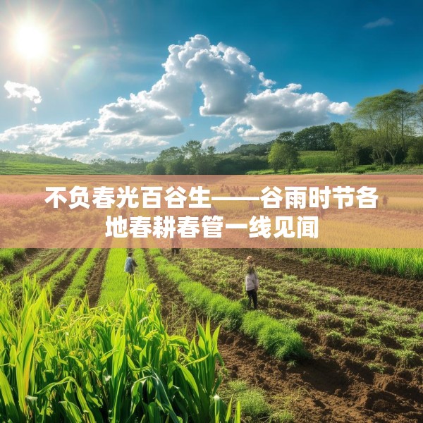 2025年4月22日 第11页