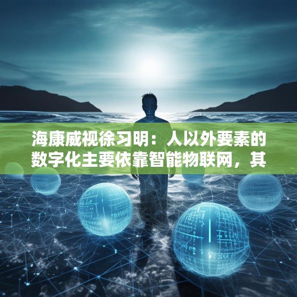 海康威视徐习明：人以外要素的数字化主要依靠智能物联网，其中机遇众多