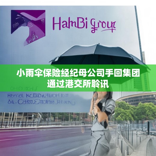 小雨伞保险经纪母公司手回集团通过港交所聆讯