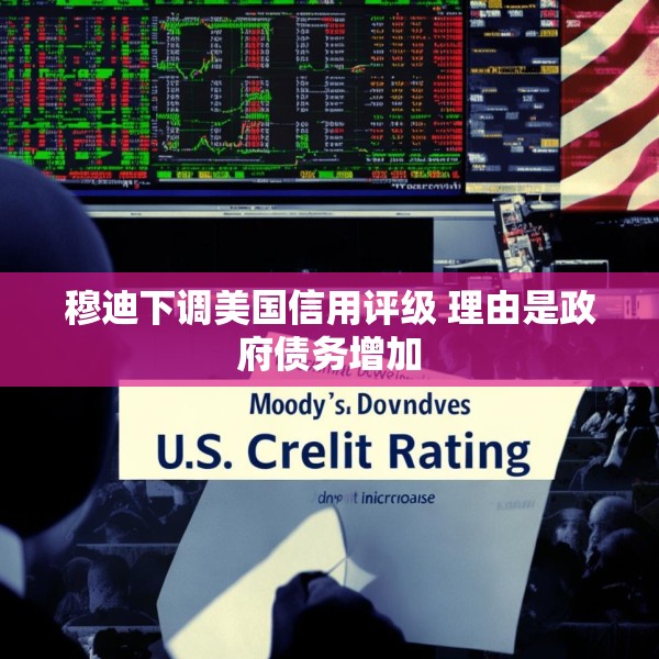 穆迪下调美国信用评级 理由是政府债务增加