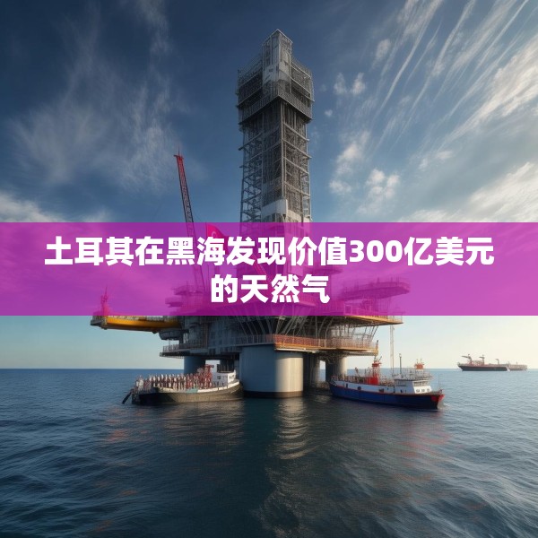 土耳其在黑海发现价值300亿美元的天然气