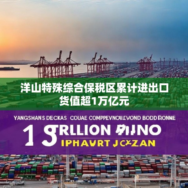 洋山特殊综合保税区累计进出口货值超1万亿元