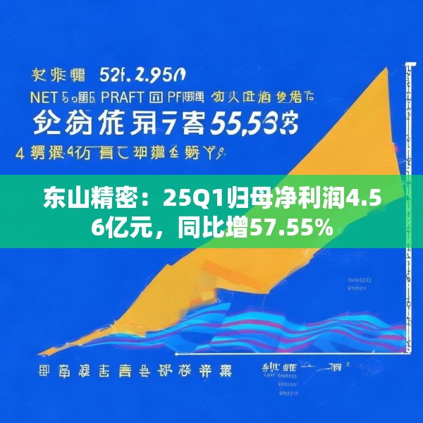 东山精密：25Q1归母净利润4.56亿元，同比增57.55%