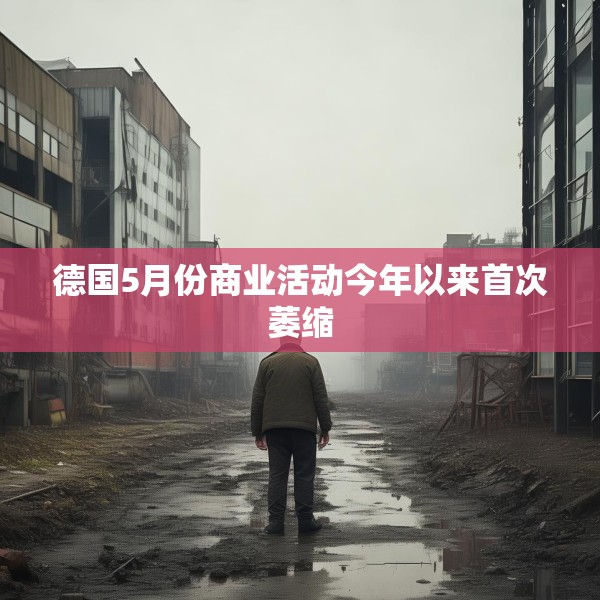 德国5月份商业活动今年以来首次萎缩