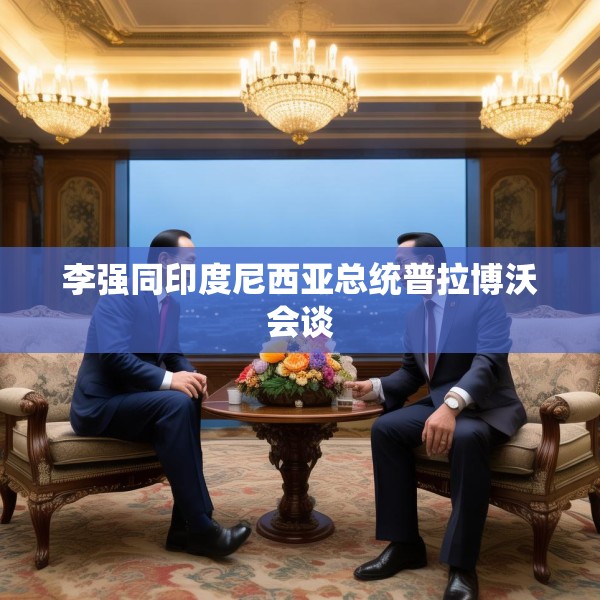 李强同印度尼西亚总统普拉博沃会谈