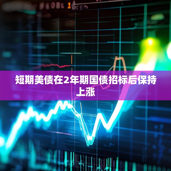 短期美债在2年期国债招标后保持上涨