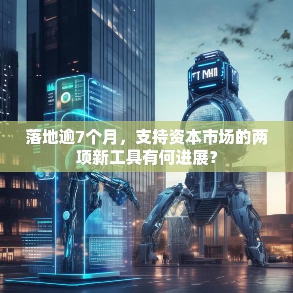 落地逾7个月，支持资本市场的两项新工具有何进展？