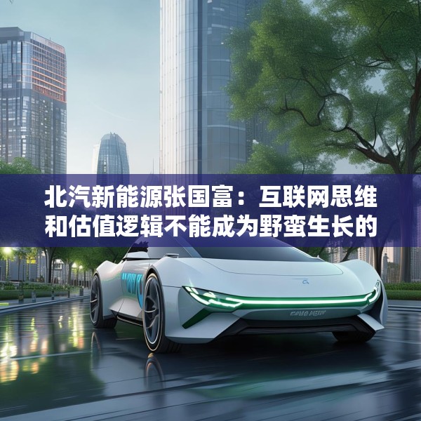 北汽新能源张国富：互联网思维和估值逻辑不能成为野蛮生长的理由