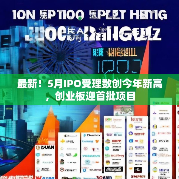 最新！5月IPO受理数创今年新高，创业板迎首批项目