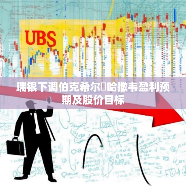 瑞银下调伯克希尔・哈撒韦盈利预期及股价目标