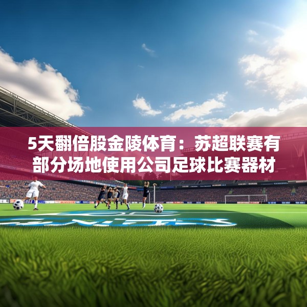 2025年6月6日 第4页