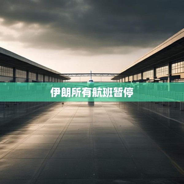 伊朗所有航班暂停
