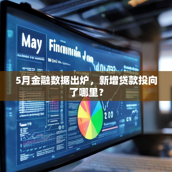 5月金融数据出炉，新增贷款投向了哪里？